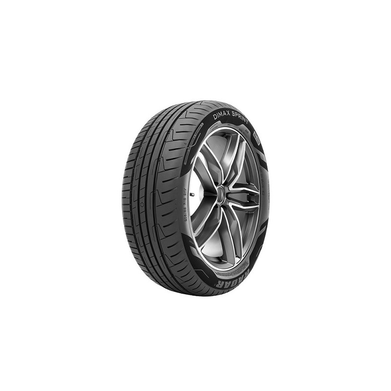 NeumÃ¡tico RADAR 195/55R16 87H DIMAX SPRINT EVC